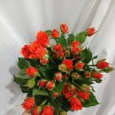 명정농장 이미지