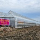 이천승아다육 네이버블로그