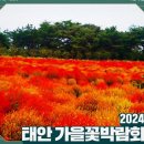 평창마루공인중개사사무소 | 추석 연휴 가볼만한 국내여행지 BEST