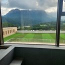 소노펠리체 델피노 이미지