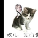 선우마트 네이버블로그