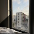 오키나와 케라마 제도 스노클링 일일투어 | 와따오키나와 가격 내돈내산