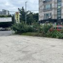 두손고기) 이미지