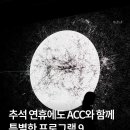 ACC 아시아 패션쇼 이미지