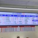 계곡횟집 | 속초 물회 맛집 추천! 속초 중앙시장 맛집 속초황금물회횟집 포장 후기