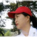 유양식선생묘 이미지