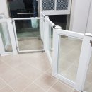 애견미용 나나엄마 이미지