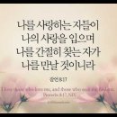 오늘의 '영어성경 사진'(898강) “하나님을 사랑하고 찾는 이들”(잠언 8장 17절) 이미지