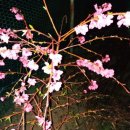 반딧불 가족농원 이미지