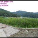 구산면517 이미지