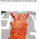 피카츄 돈까스 근황 이미지