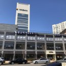 용인대 태권도장 이미지