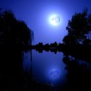 물결치는 달빛 (  이미지