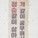 바른개 생활 이미지