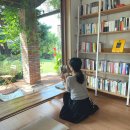 작은마을, 작은숲 이미지