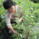 이종범농장 이미지