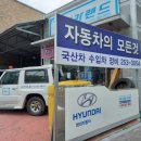 애니카랜드서전주점 이미지