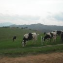 노동리경로당 이미지