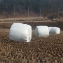 군남면사무소
