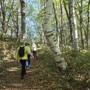 선인목장 이미지