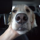 신월시장약국 이미지