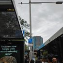 주식회사 그린코워크 | 7th) 20260406 힐링 그 자체였던 시드니 쿠지부터 본다이까지 코스탈워크 후기 (본다이비치 맛집 추천)