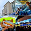 미국 동부 여행 뉴욕 양키즈 경기 직관 야구장 후기 MLB 예매 방법