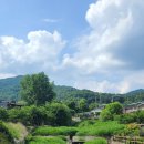 비슬오산골민박
