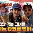 지니스타코 이미지