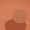 파레타(PALETA) 이미지