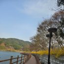 모꼬지로 자전거길 이미지