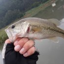 삼신식당 이미지