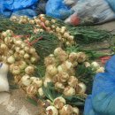 도구시장 이미지