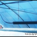 가온목장 이미지