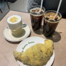 케이비몰 | 2월 일상 | 봄 + 취준 = 정병