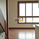 강임 하이빌 이미지