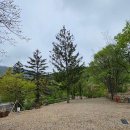 무심골 캠핑장 이미지