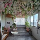 이디오랜 이미지