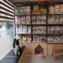 하남숲동물병원 이미지