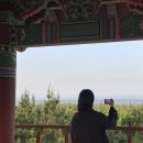 영덕고래불국민야영장 이미지