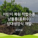 용화수 이미지