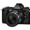 올림푸스한국(주) 이미지