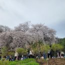 성암농장 | 대구아이와가볼만한곳 선생님과 함께하는 대구숲체험 후기