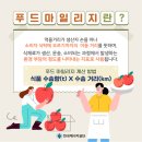 우리손푸드