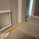 원선로4 이미지