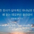 백의민족 이미지