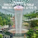 케이얼라이언스 | 창이공항라운지 가격비교 앰버서더 메뉴 샤워 솔직후기