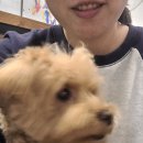 두젠틀 티스토리