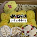 세영농장 | 농라 성주꿀참외 세영농장 내돈내산 후기
