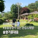안성촌캉스 추천! 동물 보고 농촌체험까지 가능한 솔향기흙내음 후기